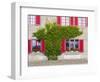 Historical facade with red shutters and green ivy-enricocacciafotografie-Framed Photographic Print