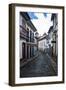 Historical Houses in the Old Mining Town of Ouro Preto-Michael Runkel-Framed Photographic Print