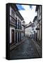 Historical Houses in the Old Mining Town of Ouro Preto-Michael Runkel-Framed Stretched Canvas