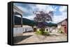 Historical Mining Town, Tiradentes, Minas Gerais, Brazil, South America-Michael Runkel-Framed Stretched Canvas