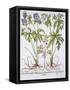 Canvas Black