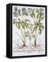 Canvas Black