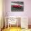 Historical race-cars-Gasoline Images-Stretched Canvas displayed on a wall