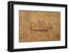 Historical Wall Painting in a Temple in Bagan, Myanmar-Harry Marx-Framed Photographic Print