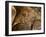 Historical Wallpaintings in Panagia Forviotissa Church in Asinou, Troodos Mountains, Cyprus-Katja Kreder-Framed Photographic Print