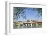 Historical Wooden Bridge and Cathedral (Fridolinsmuenster)-Markus Lange-Framed Photographic Print