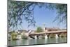 Historical Wooden Bridge and Cathedral (Fridolinsmuenster)-Markus Lange-Mounted Photographic Print