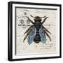 History Bee II-Karen Smith-Framed Art Print