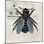 History Bee II-Karen Smith-Mounted Art Print
