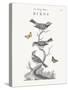 History of Birds-Maria Mendez-Stretched Canvas