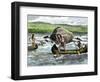 History of Indigenous Peoples: American Indians in Canoes Fishing for Salmon in the Columbia River.-null-Framed Giclee Print