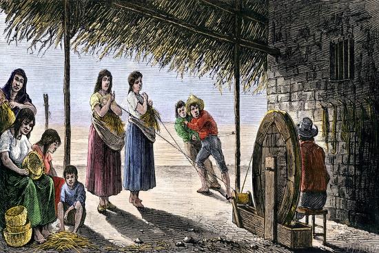 Indigenous Ropes 'History of Indigenous Peoples: Mission Indians Making Baskets and ...