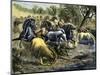 History of Indigenous Peoples: Native Americans Driving a Herd of Wild Horses into the Water. Colou-null-Mounted Giclee Print