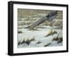 Hit or Miss-Wilhelm Goebel-Framed Giclee Print