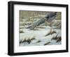 Hit or Miss-Wilhelm Goebel-Framed Giclee Print