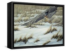 Hit or Miss-Wilhelm Goebel-Framed Stretched Canvas