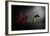 Hit the Road, Jack!-Victoria Ivanova-Framed Photographic Print