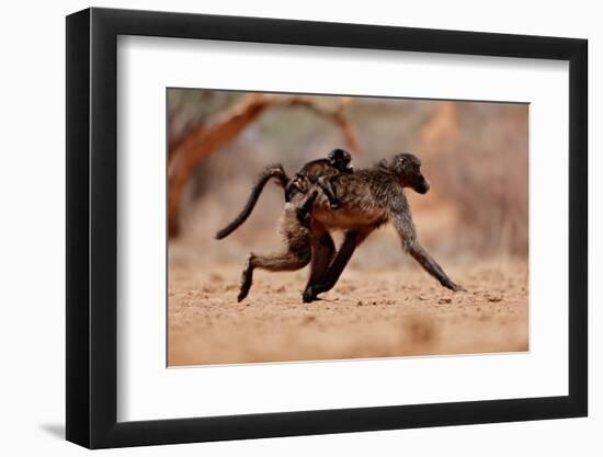 Hitching a ride, 2019,-Eric Meyer-Framed Photographic Print