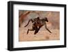 Hitching a ride, 2019,-Eric Meyer-Framed Photographic Print