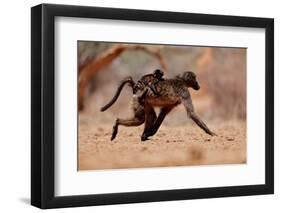 Hitching a ride, 2019,-Eric Meyer-Framed Photographic Print