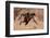 Hitching a ride, 2019,-Eric Meyer-Framed Photographic Print