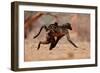 Hitching a ride, 2019,-Eric Meyer-Framed Photographic Print