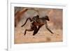 Hitching a ride, 2019,-Eric Meyer-Framed Photographic Print