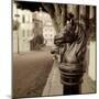 Hitching Post #7-Alan Blaustein-Mounted Photographic Print