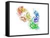 HIV Antibody Therapy-Laguna Design-Framed Stretched Canvas