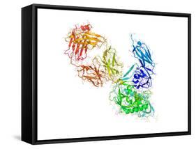 HIV Antibody Therapy-Laguna Design-Framed Stretched Canvas