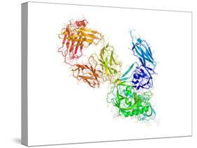 HIV Antibody Therapy-Laguna Design-Stretched Canvas