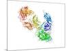 HIV Antibody Therapy-Laguna Design-Mounted Photographic Print