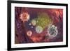 HIV Particles-Karsten Schneider-Framed Photographic Print