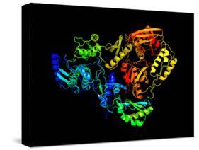 HIV Reverse Transcription Enzyme-Laguna Design-Stretched Canvas