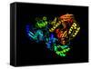 HIV Reverse Transcription Enzyme-Laguna Design-Framed Stretched Canvas