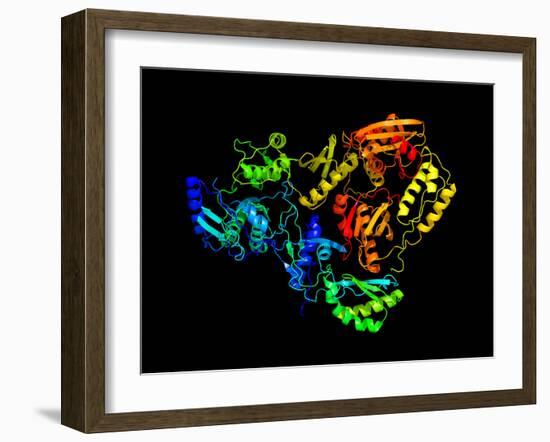 HIV Reverse Transcription Enzyme-Laguna Design-Framed Photographic Print