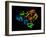 HIV Reverse Transcription Enzyme-Laguna Design-Framed Photographic Print