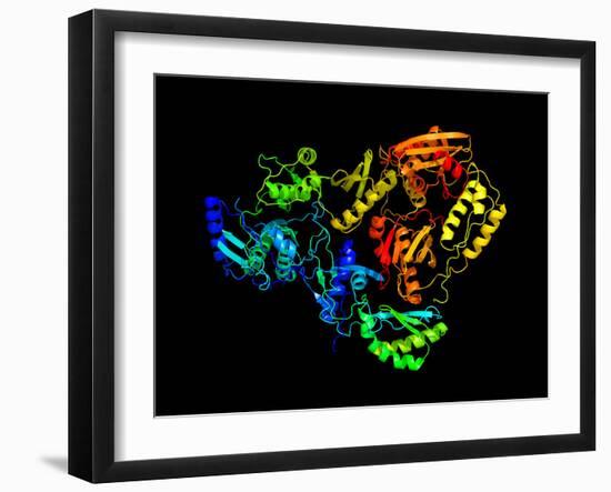 HIV Reverse Transcription Enzyme-Laguna Design-Framed Photographic Print