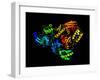 HIV Reverse Transcription Enzyme-Laguna Design-Framed Photographic Print