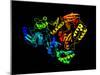 HIV Reverse Transcription Enzyme-Laguna Design-Mounted Photographic Print