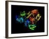 HIV Reverse Transcription Enzyme-Laguna Design-Framed Photographic Print