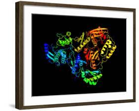 HIV Reverse Transcription Enzyme-Laguna Design-Framed Photographic Print