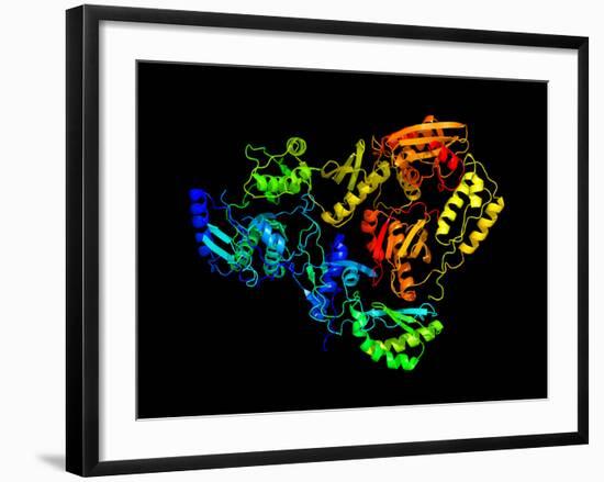 HIV Reverse Transcription Enzyme-Laguna Design-Framed Photographic Print