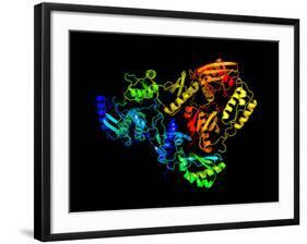 HIV Reverse Transcription Enzyme-Laguna Design-Framed Photographic Print