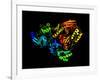 HIV Reverse Transcription Enzyme-Laguna Design-Framed Photographic Print