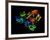 HIV Reverse Transcription Enzyme-Laguna Design-Framed Photographic Print