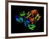 HIV Reverse Transcription Enzyme-Laguna Design-Framed Photographic Print