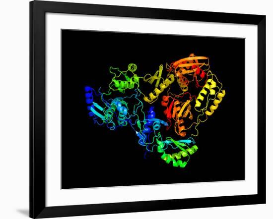 HIV Reverse Transcription Enzyme-Laguna Design-Framed Photographic Print