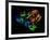 HIV Reverse Transcription Enzyme-Laguna Design-Framed Photographic Print