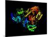 HIV Reverse Transcription Enzyme-Laguna Design-Mounted Photographic Print